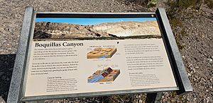 US Big Bend National Park Service marker explaining the geology of Boquillas Canyon