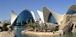 Valencia-L'Oceanogràfic2