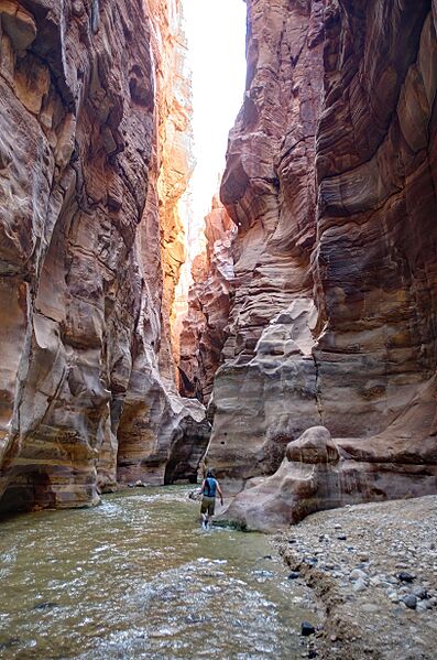 Wadi Mujib Siq Trail