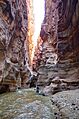 Wadi Mujib Siq Trail