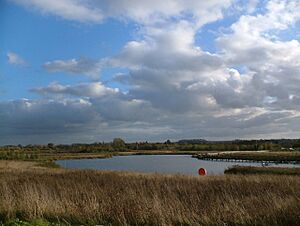 Waters' Edge Country Park, Barton Upon Humber - geograph.org.uk - 278099