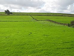 (The site of) Milecastle 47 (2) - geograph.org.uk - 1551268.jpg