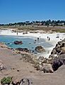 17 Mile Drive cropped