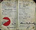 1934 US passport issued to 23 year old Shura Cherkassky