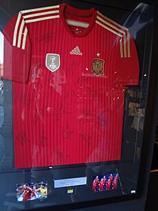 2010 World Cup Autographed by the entire Spanish National Team that won the 2010 World Cup
