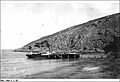 A steamship at the Althorpe Island jetty 1905