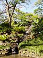 Allerton Garden, Kauai, Hawaii - stream