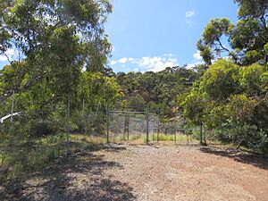 Armadale Brickworks Quarry, November 2021 02