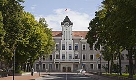 Ayuntamiento de Siauliai, Lituania, 2012-08-09, DD 02.JPG