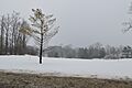 Berkshire Hills Country Club, snowy fairways