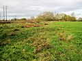Bishop's Meadow 1