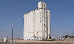 Brandon, Nebraska grain elevator 1
