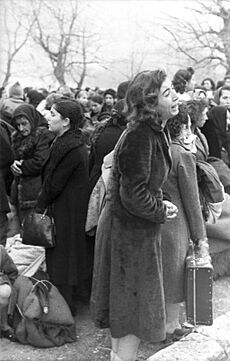 Bundesarchiv Bild 101I-179-1575-08, Ioannina, Deportation von Juden