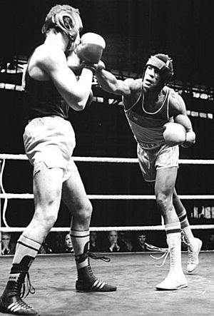 Boxers hermenegildo 2025