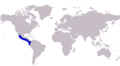 Carangoides otrynter distribution