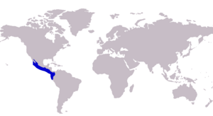 Carangoides otrynter distribution.png