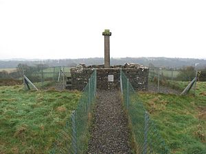 Carrickdextor or Baronstown Cross, Near Slane, Co. Meath - geograph.org.uk - 689961.jpg