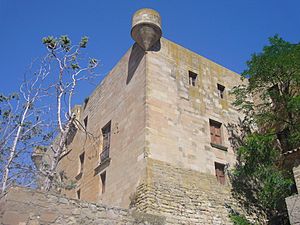 Castell de Montclar d'Urgell-Angle sud-est