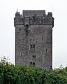Castlefergus Castle