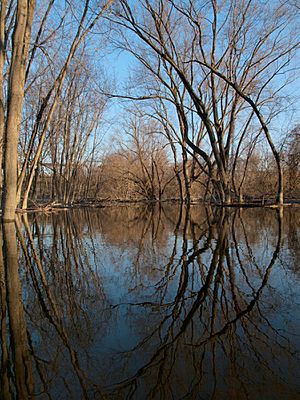 Connecticut River Reflections (8575465376)