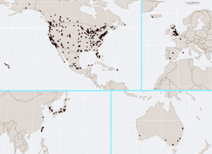 Costco footprint map Global 2021-01