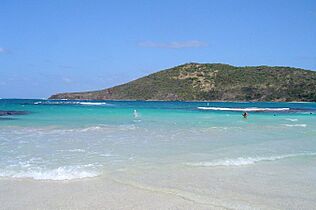 Culebra pláž Flamenco