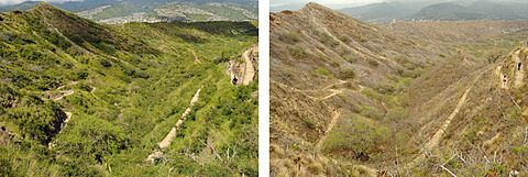 Diamond Head Hike - Wet & Dry Seasons