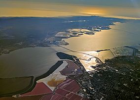 Don Edwards San Francisco Bay National Wildlife Refuge.jpg