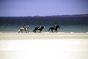 Donegal beaches (2579124526)