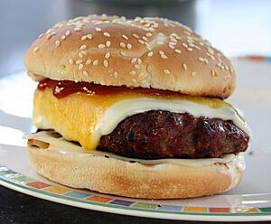 Double cheese cheeseburger (cropped)