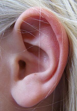 Earcov