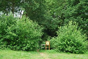 Entrance to Barnett's Wood Nature Reserve off Blackthorn Avenue - geograph.org.uk - 1366722