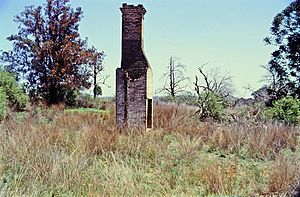 Eton Vale Homestead Ruins, chimney (1992).jpg