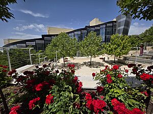 Faculty of Natural Sciences - Building 29, Ariel University, Israel