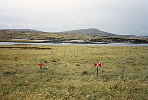 Falklands-Minefield