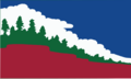 Flag of Paradise, California