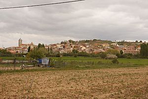 View of Fuentespina, 2010