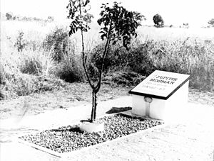 Grave of Jupiter Mosman