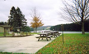 A picnic area at Hills Creek State Park in Charleston Township