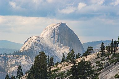 Half Dome from Olmsted Point