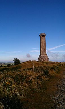 Hardy Monument 201307