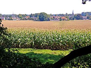 Looking toward the Hellendoorn town centre