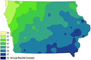Iowa rainfall