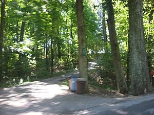 Jersey Park Farm driveway