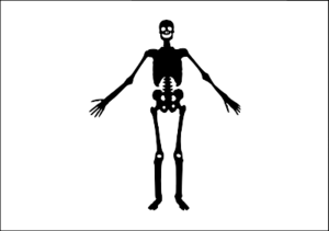 Jolly Roger flag of pirate Olivier Levasseur (La Buse)