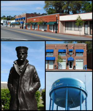Clockwise from top: Kingsland Commercial Historic District, Kingsland City Hall, municipal water tower, Lone Sailor statue at Veterans' Park