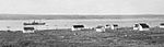 Kuujjuaq 1909.jpg