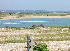 Lake with islands in Rye Harbour Nature Reserve - geograph.org.uk - 1091656.jpg