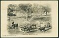 Long Island, Murray Bridge (B 26826)