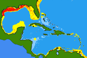 Map of species distribution concentrated in northern Gulf of Mexico